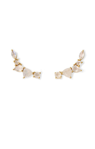 Wing Climber Earrings